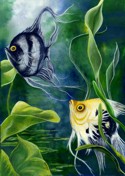 Ashley Coll - Angelfish painting
