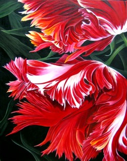 Ashley Coll - Crimson Parrot painting