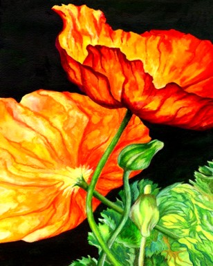 Ashley Coll - Orange Poppies painting