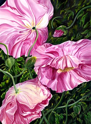 Ashley Coll - Pink Poppies painting