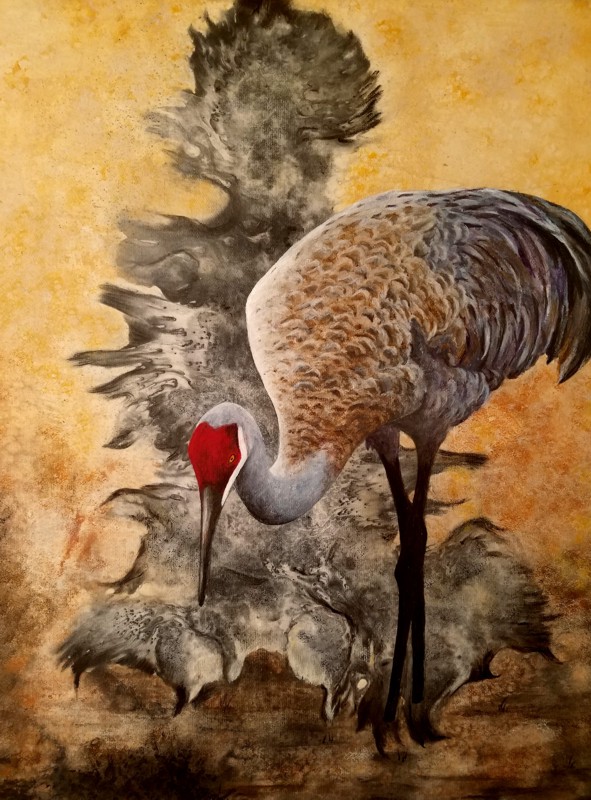 SandhillCrane3