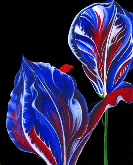 Ashley Coll - IRIS painting