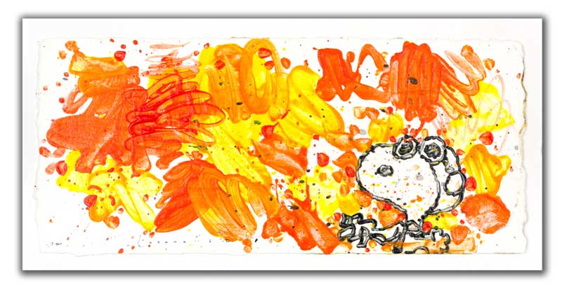 Tom Everhart - PARTLY CLOUDY MORNING FLY - Limited Edition print