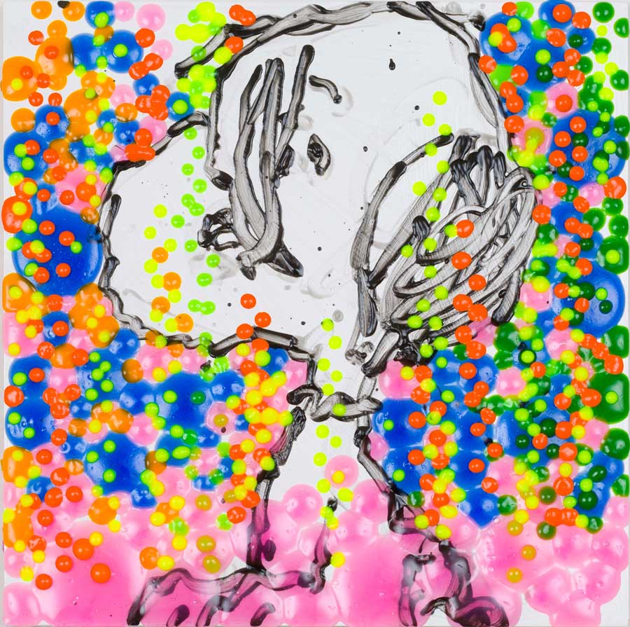 Tom Everhart Artist | PEANUTS & SNOOPY created by Charles Schultz 